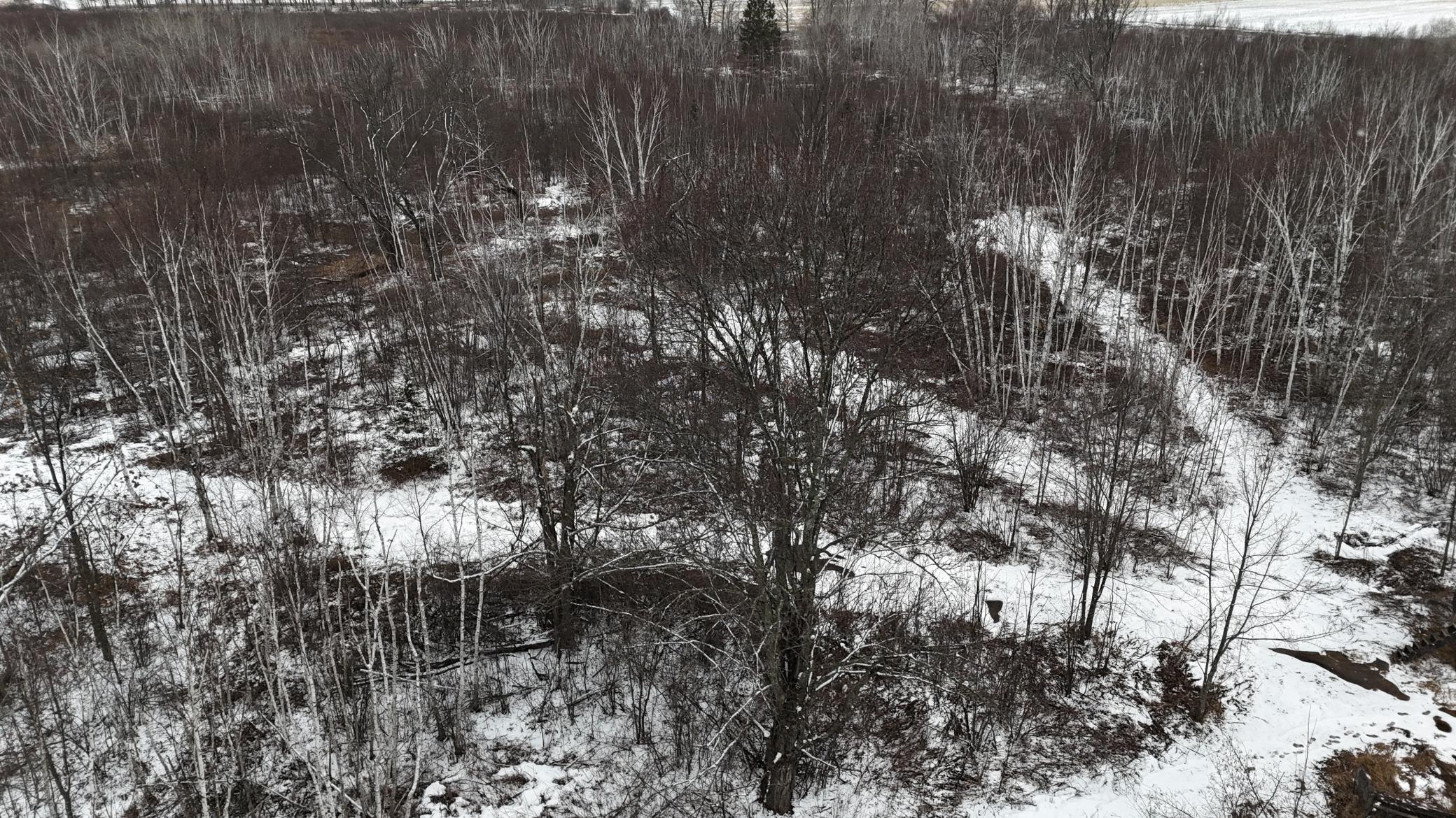 DJI_20260310150704_0281_D.JPG
