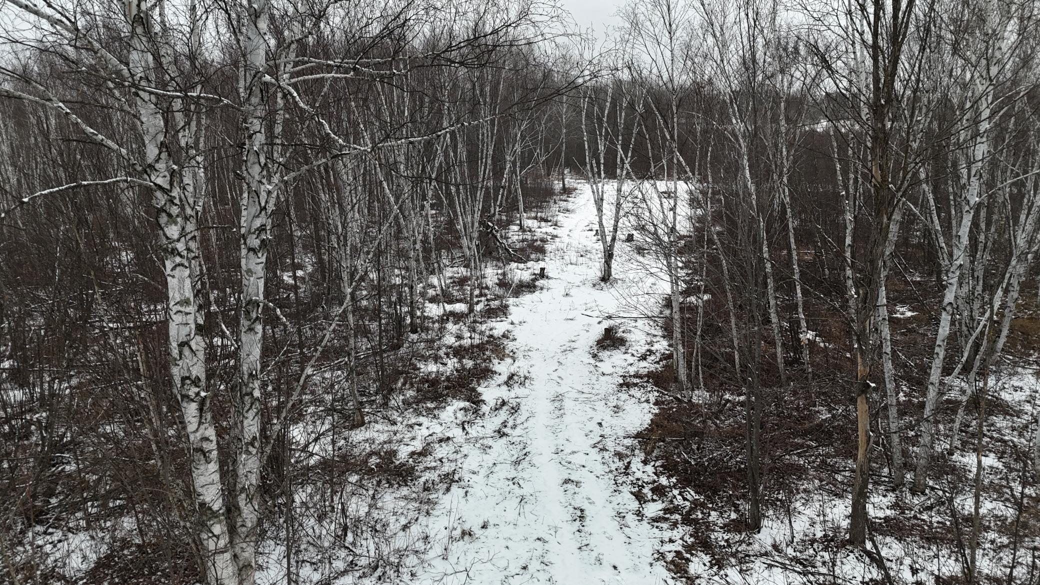 DJI_20260310151020_0284_D.JPG