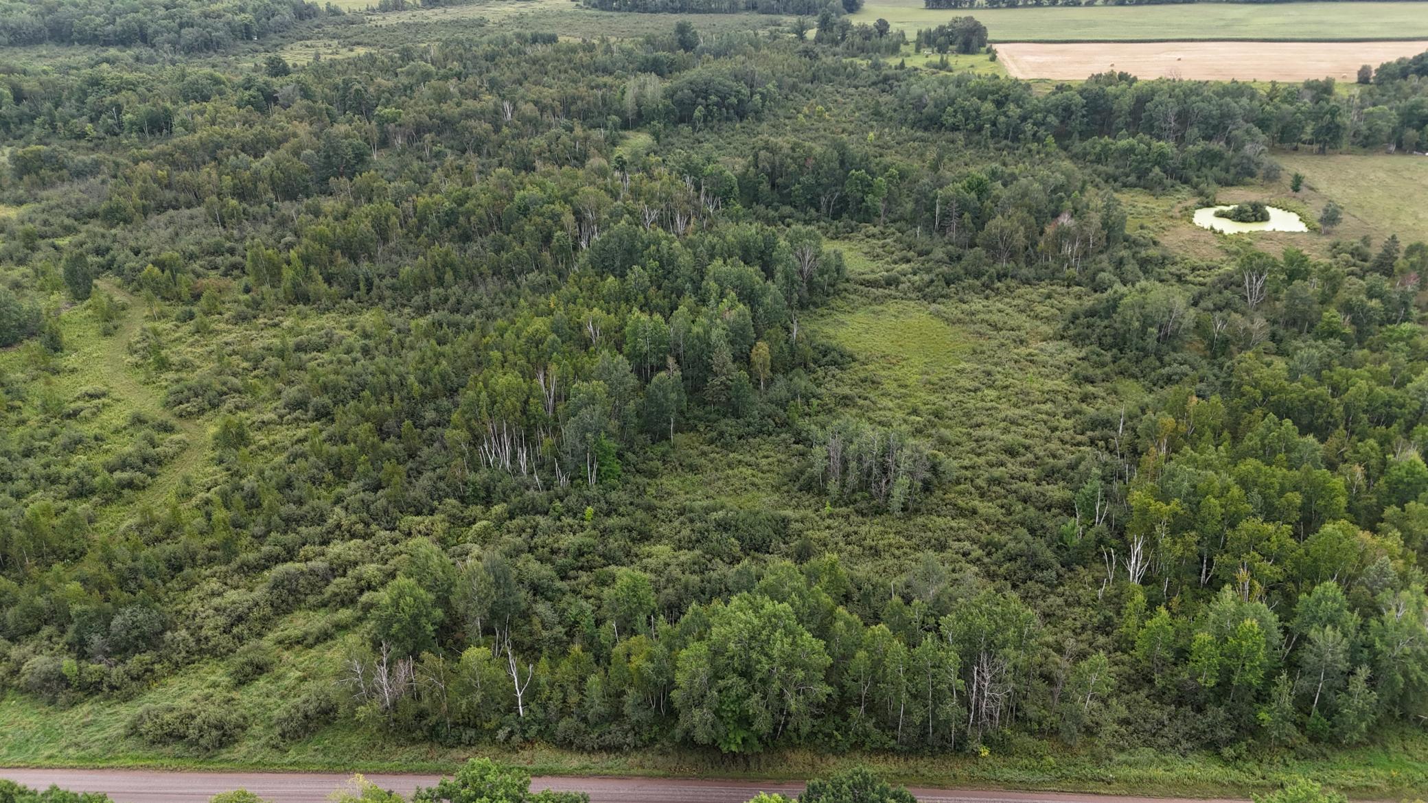 DJI_20260820113737_0750_D.JPG