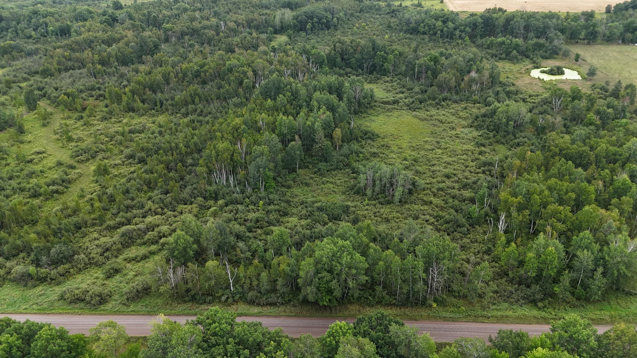 DJI_20260820113729_0749_D.JPG