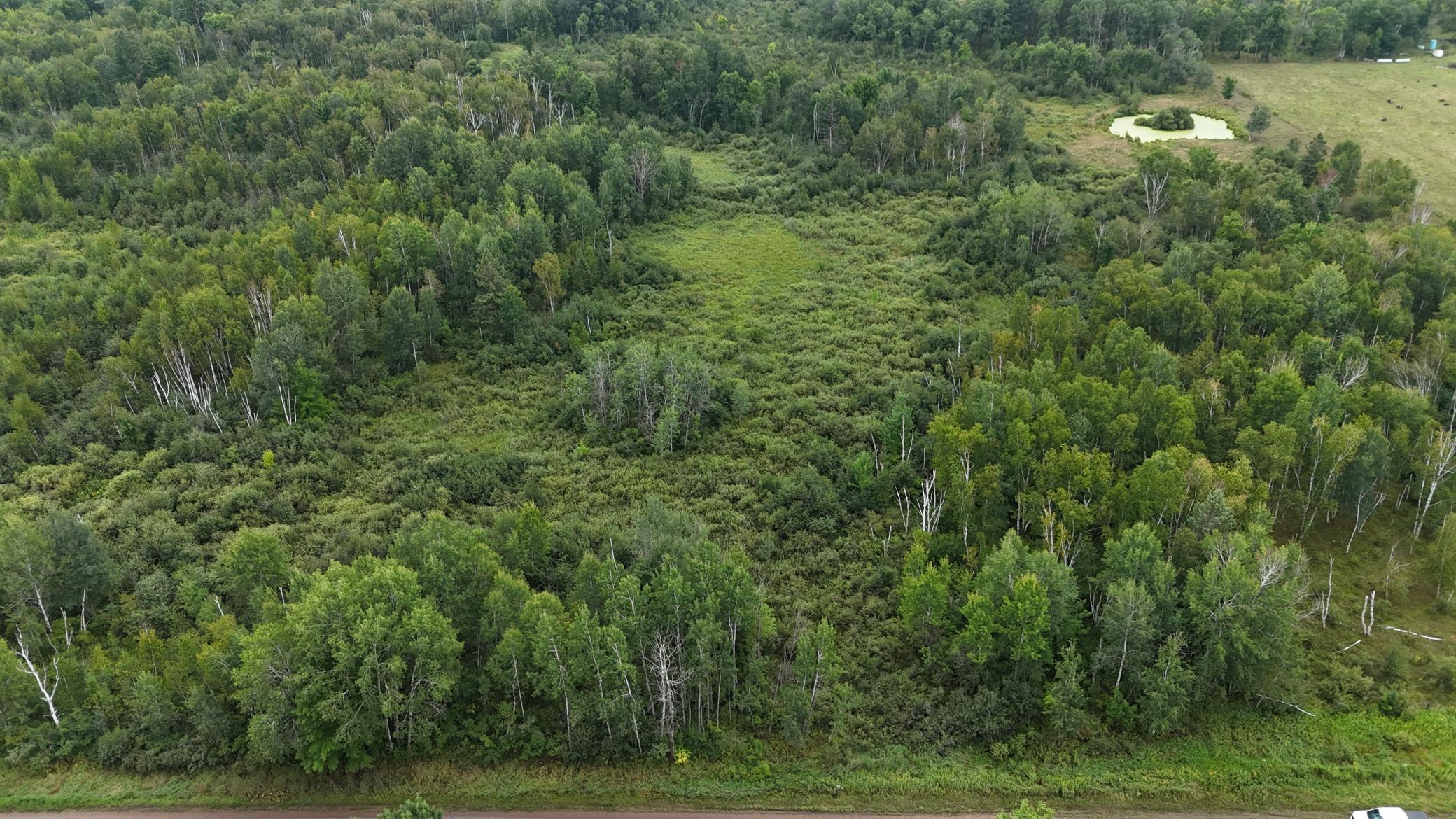 DJI_20260820113701_0748_D.JPG