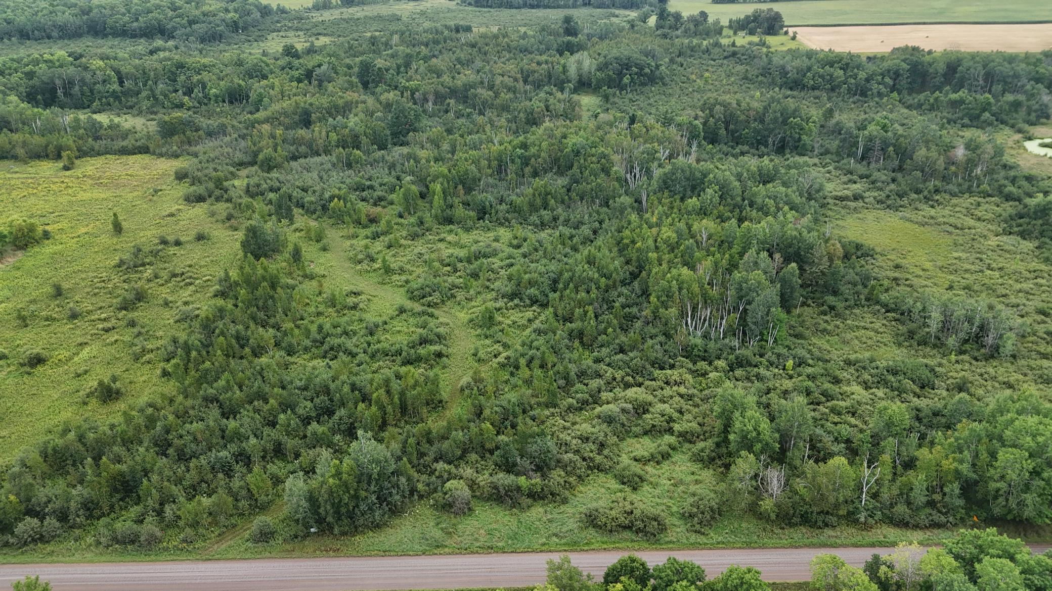 DJI_20260820113753_0751_D.JPG