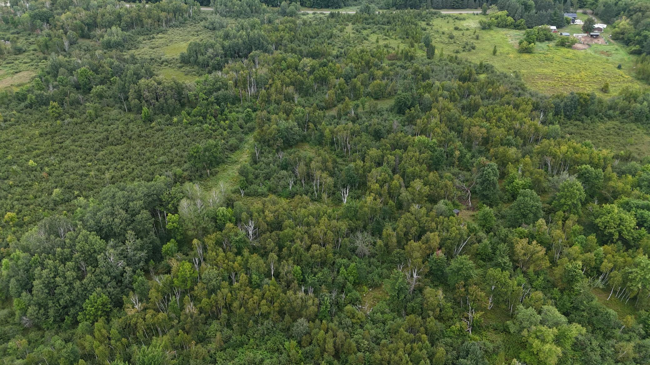 DJI_20260820114129_0760_D.JPG