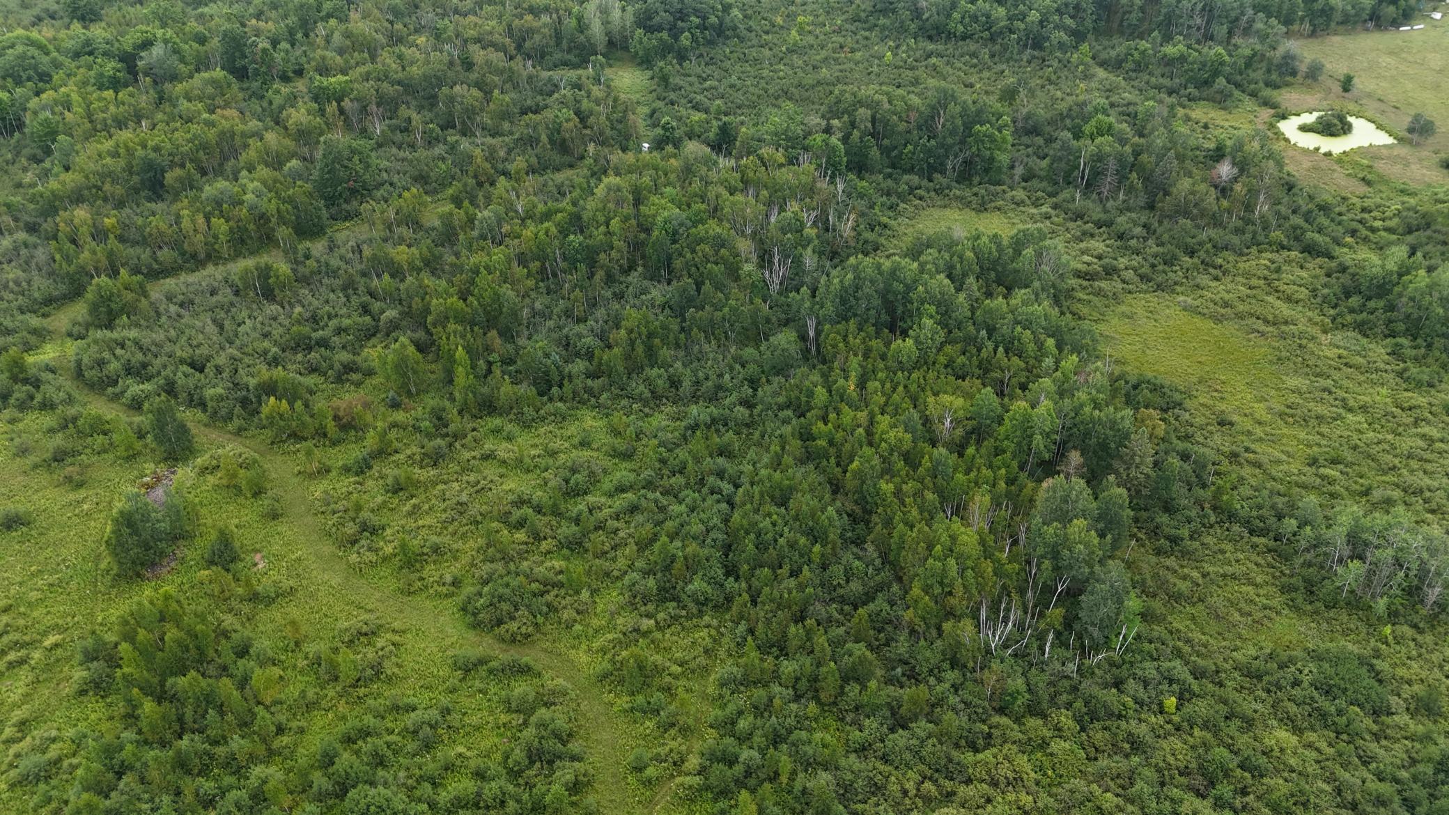 DJI_20260820113823_0754_D.JPG