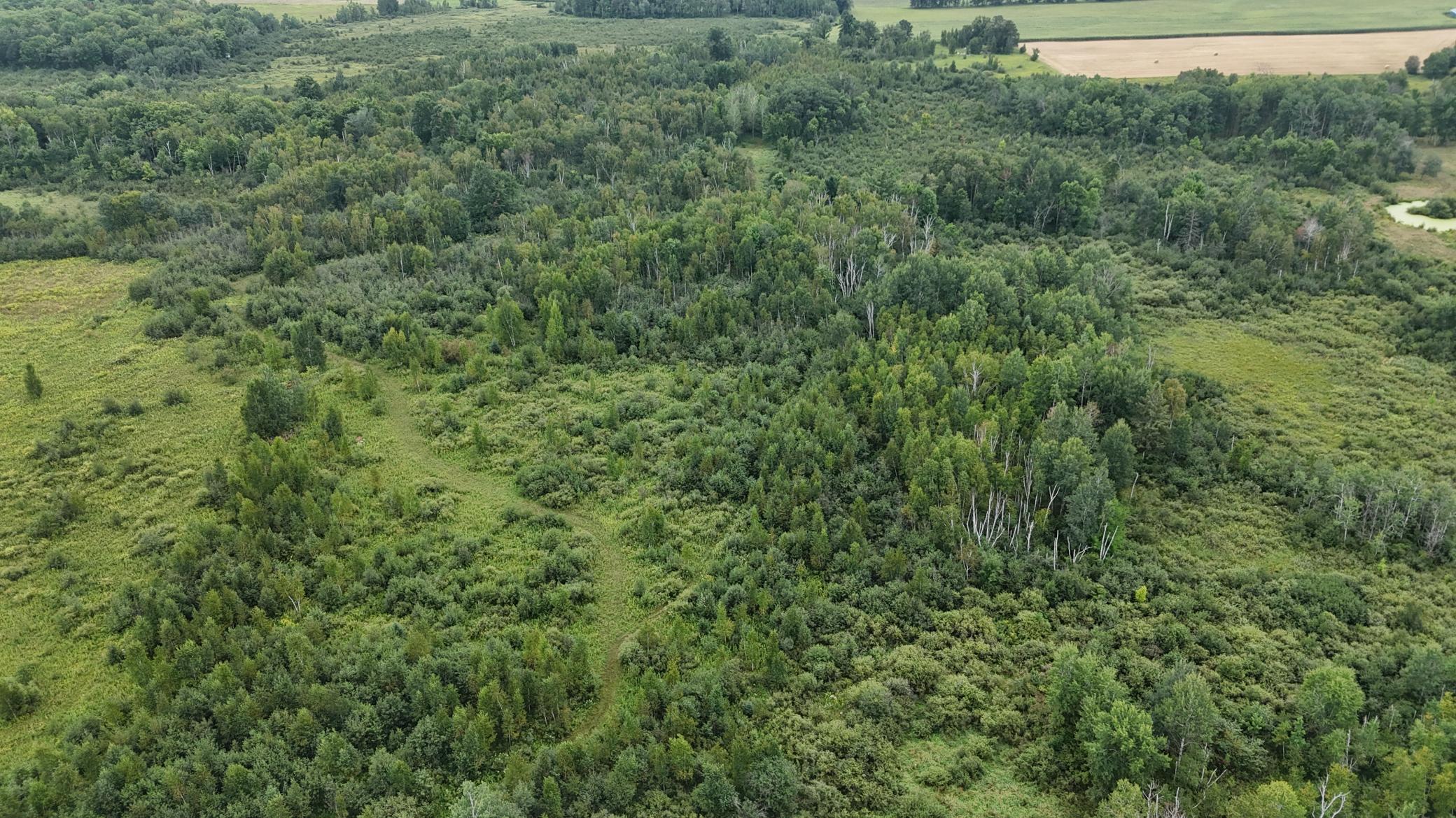 DJI_20260820113801_0752_D.JPG