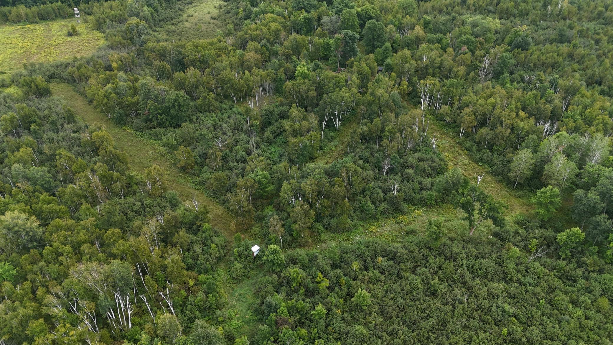 DJI_20260820113925_0757_D.JPG
