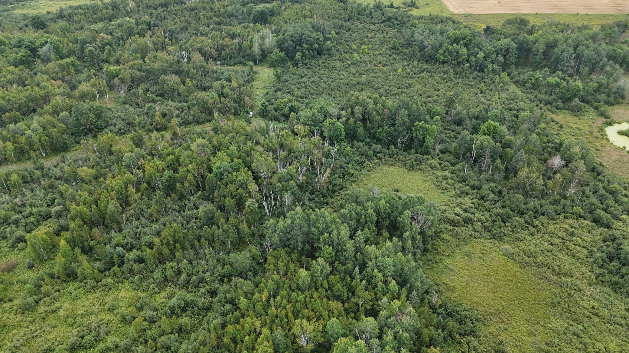 DJI_20260820113836_0755_D.JPG