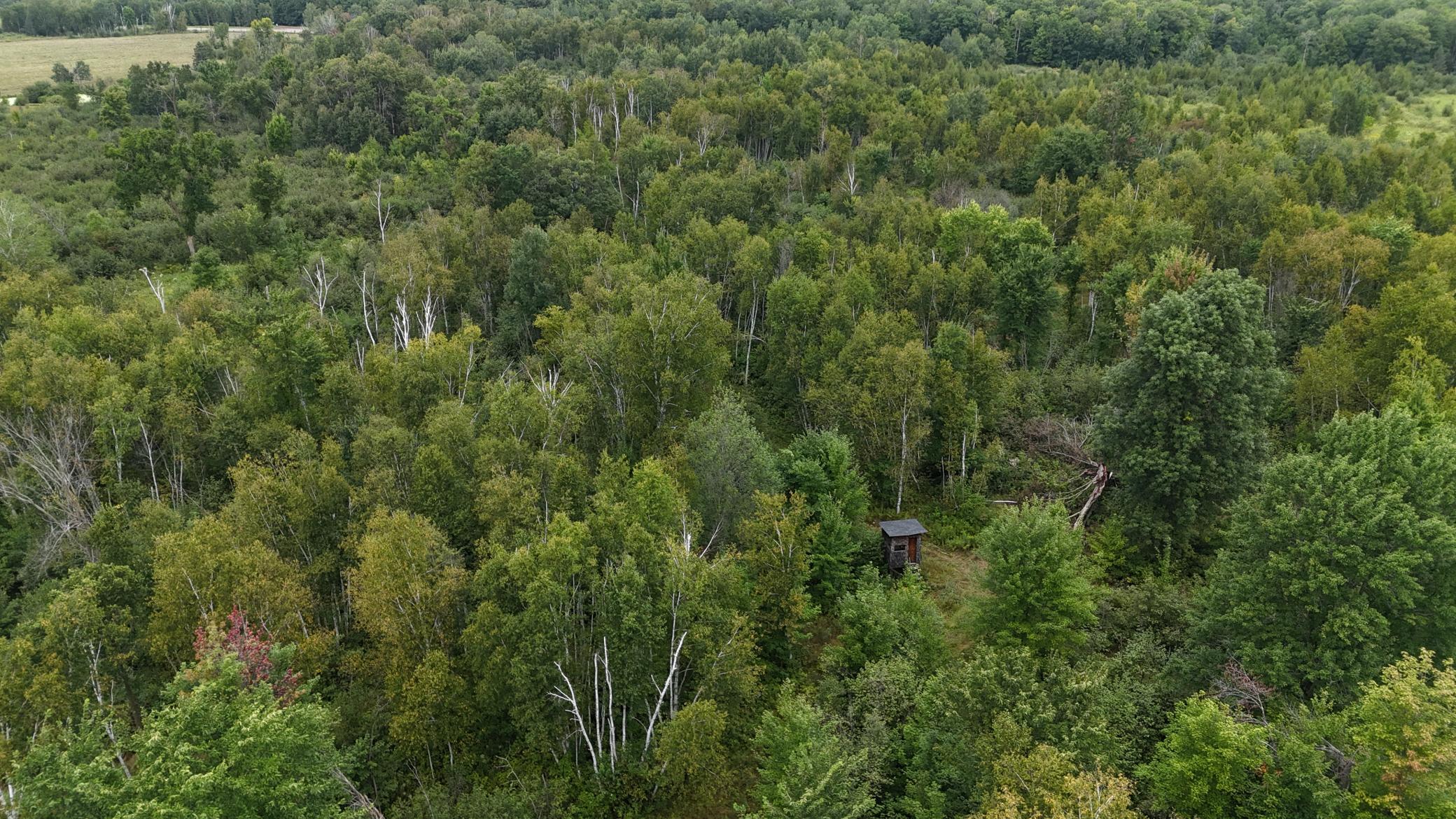 DJI_20260820114255_0766_D.JPG