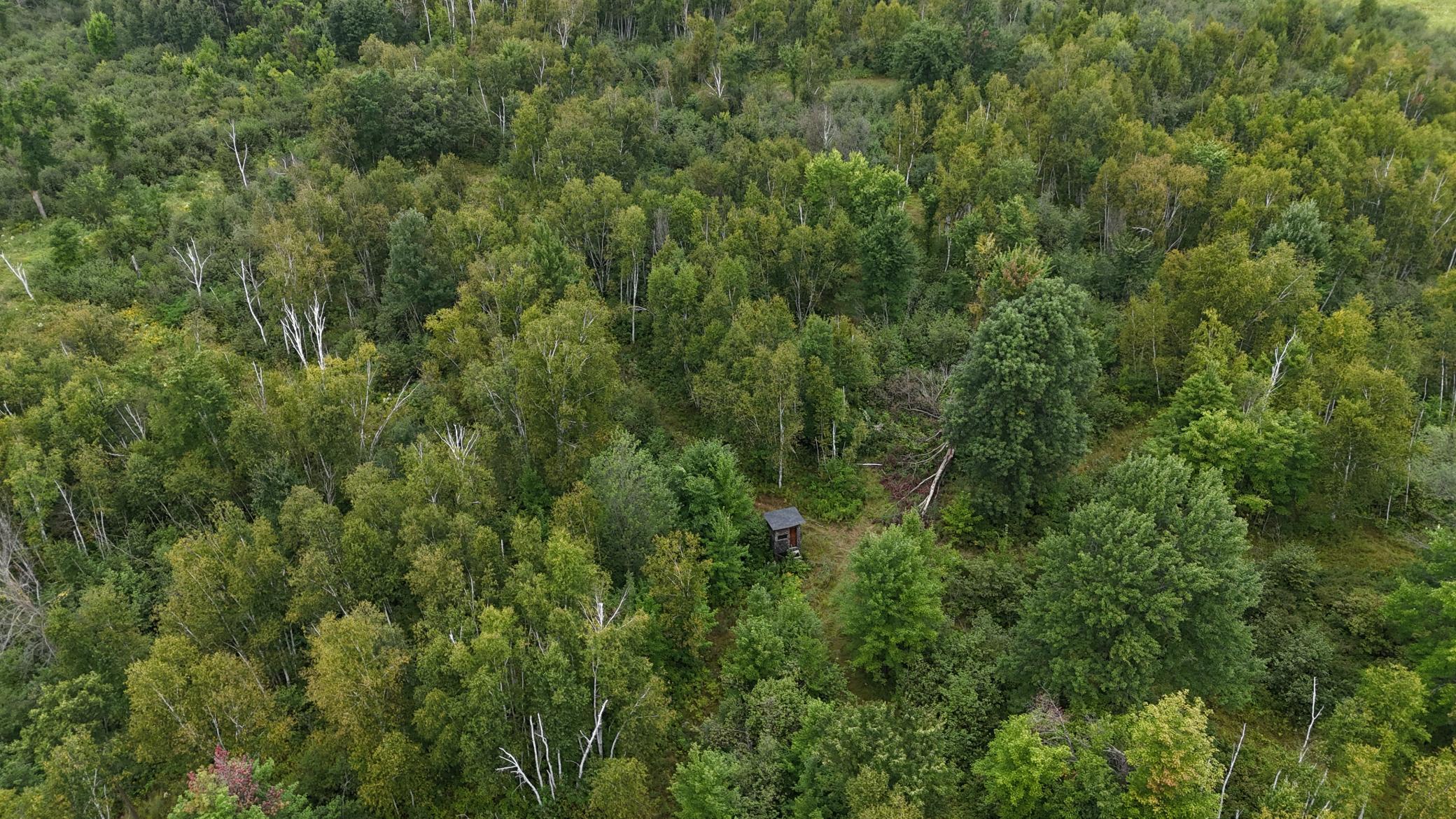 DJI_20260820114236_0764_D.JPG