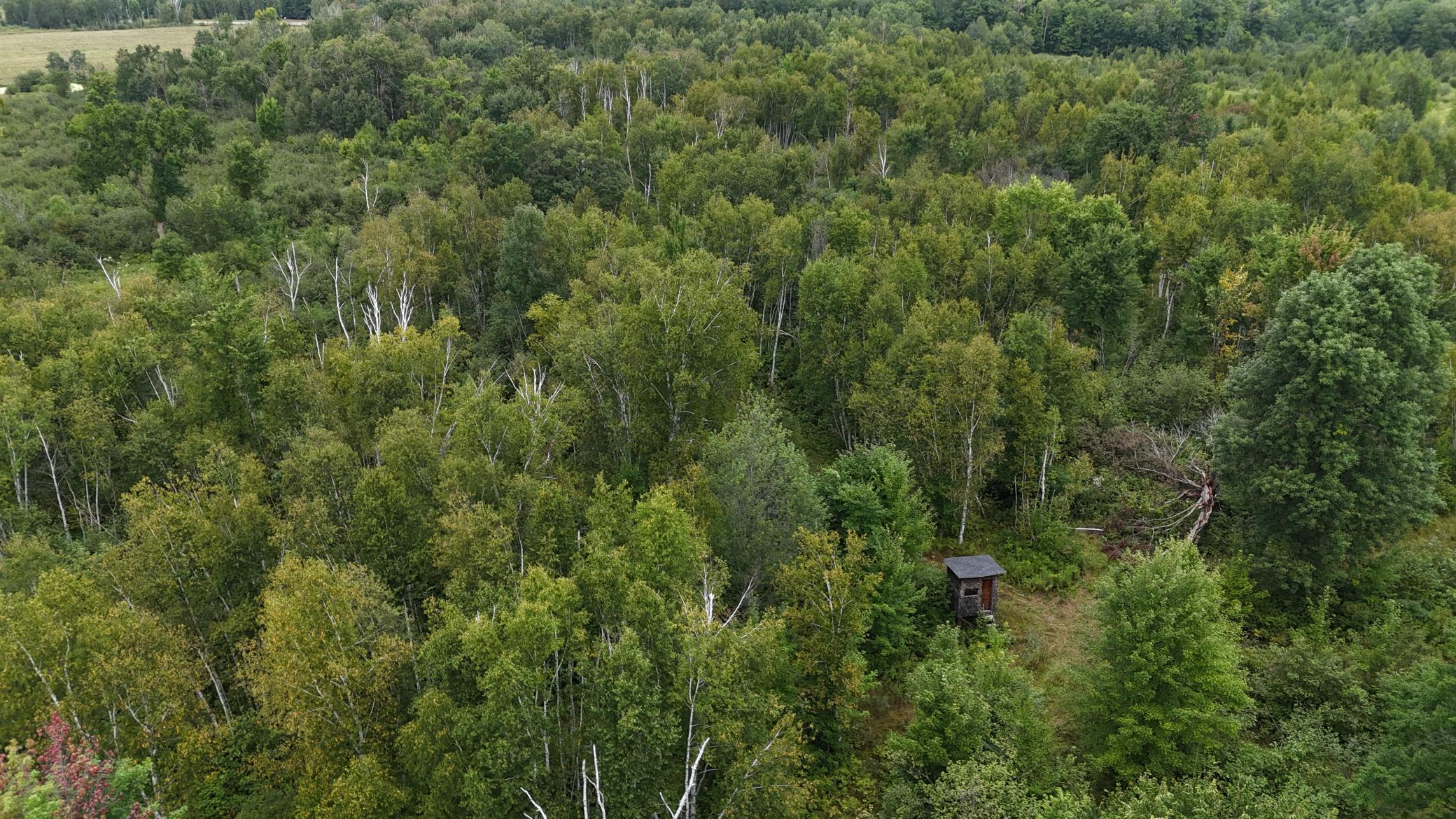 DJI_20260820114313_0767_D.JPG