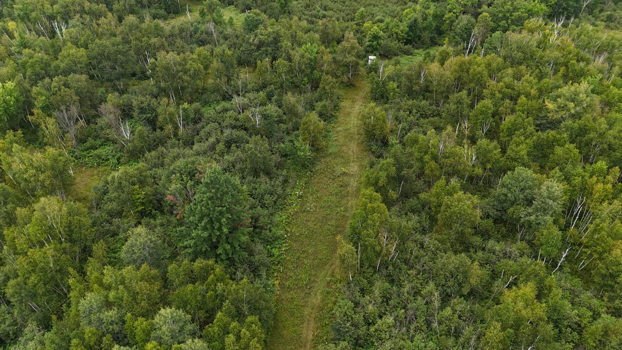 DJI_20260820114451_0771_D.JPG