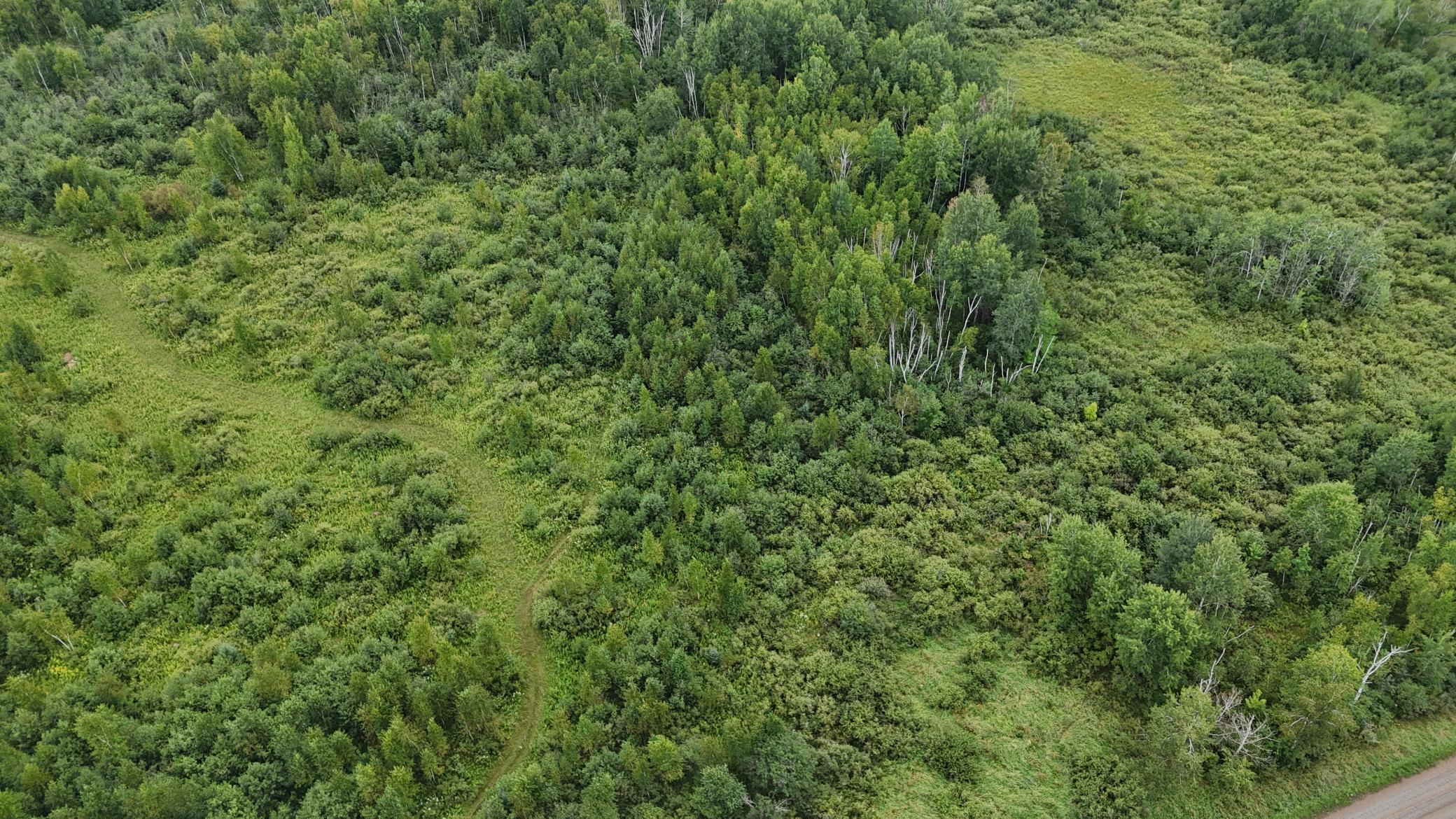 DJI_20260820113812_0753_D.JPG