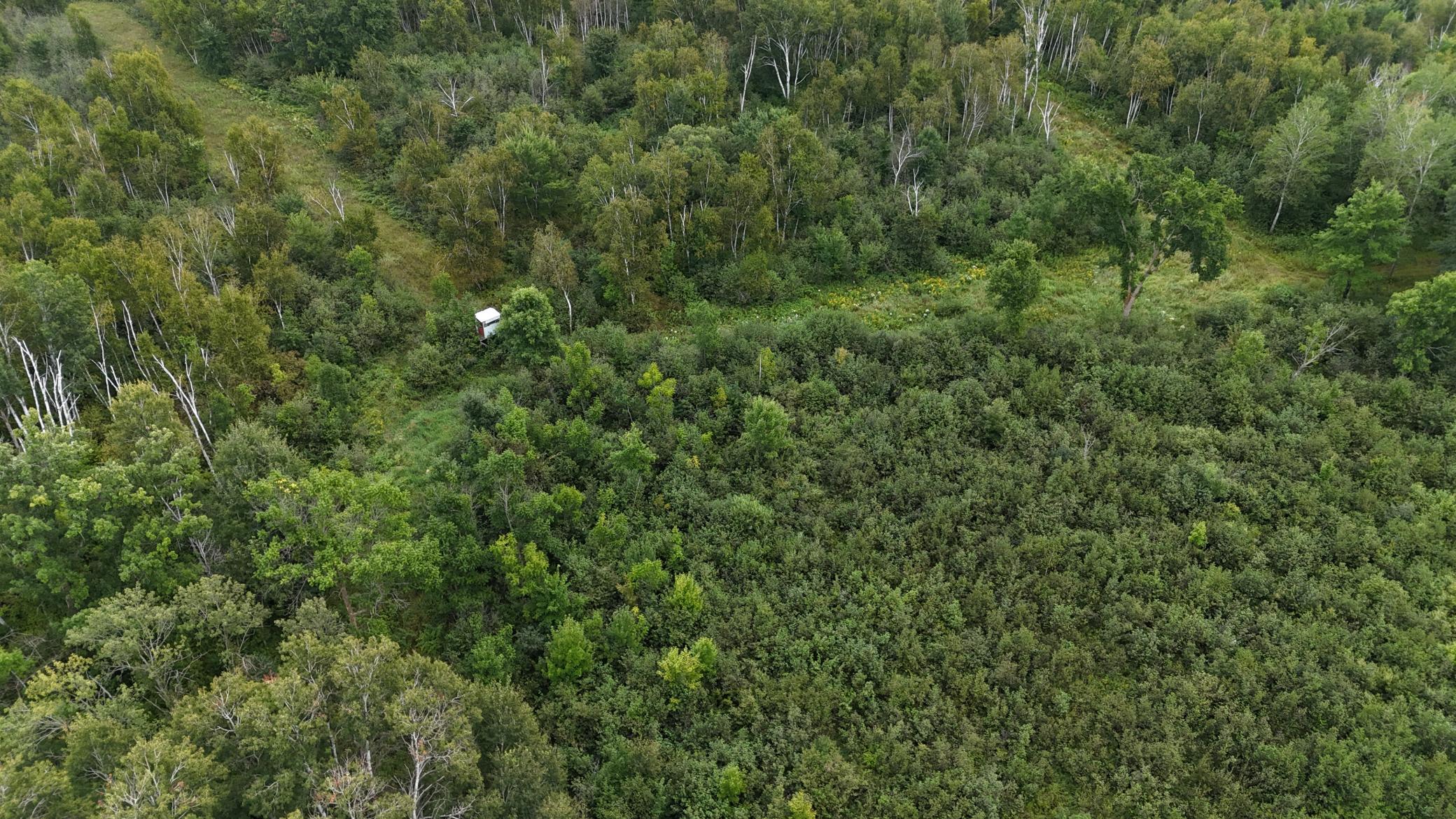 DJI_20260820113941_0758_D.JPG