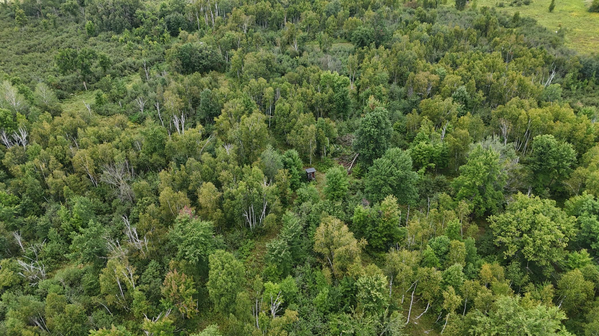 DJI_20260820114217_0762_D.JPG
