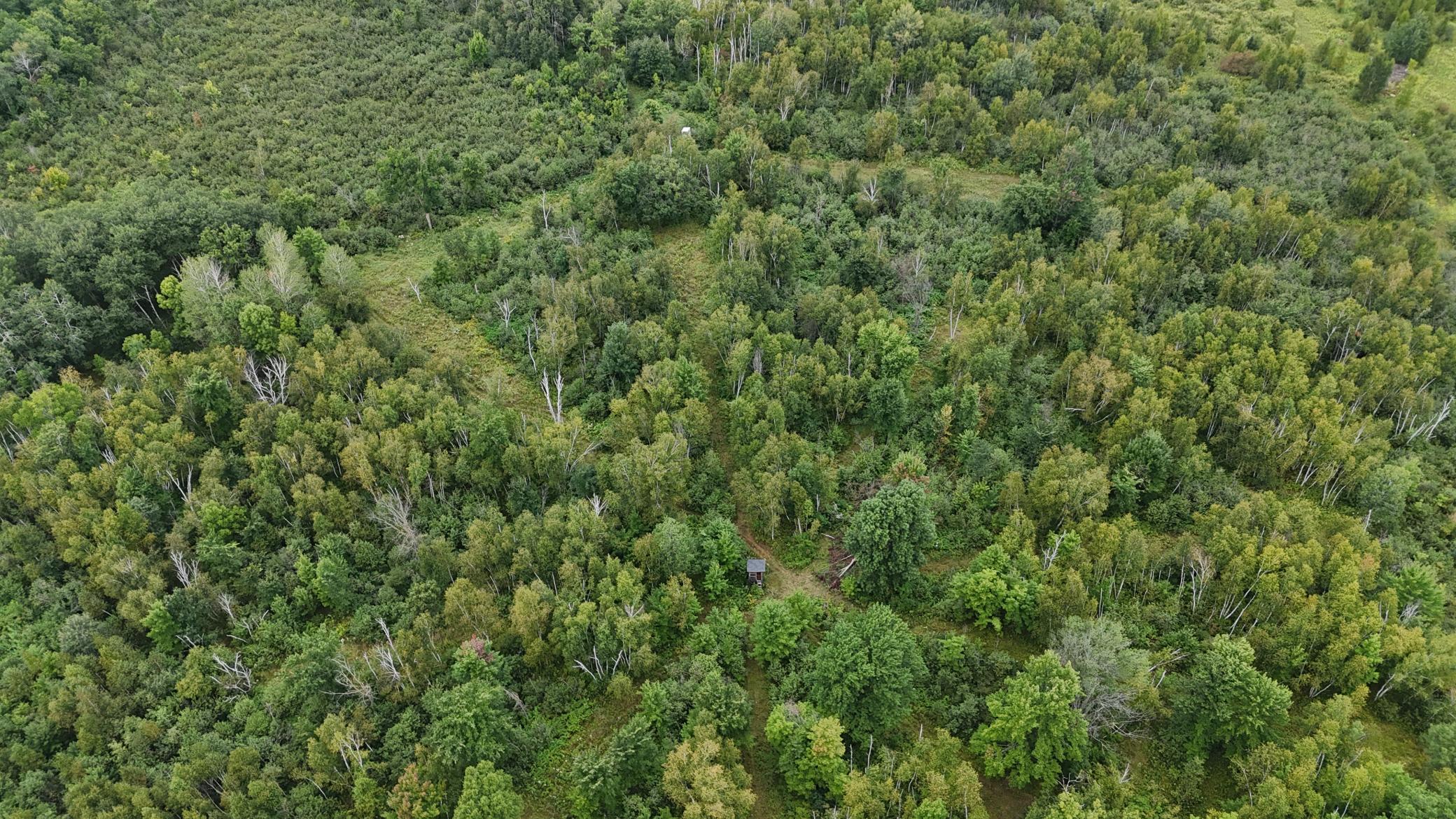 DJI_20260820114144_0761_D.JPG