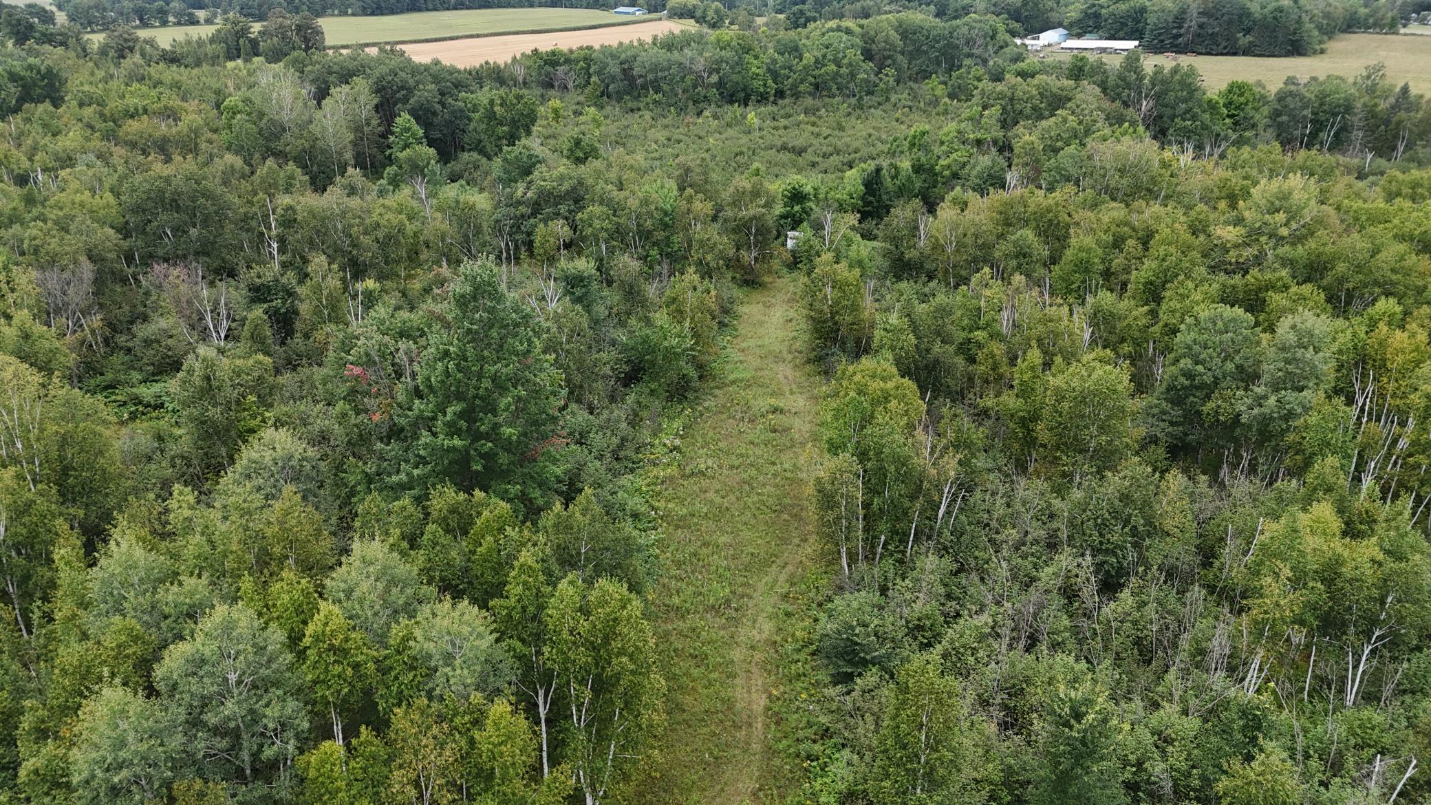 DJI_20260820114421_0770_D.JPG