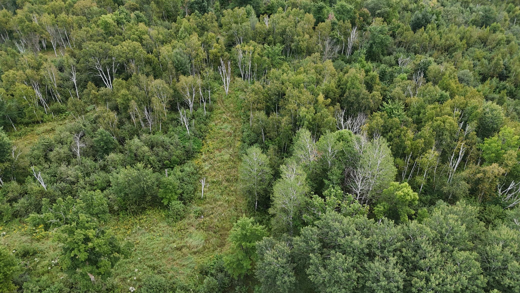 DJI_20260820113953_0759_D.JPG