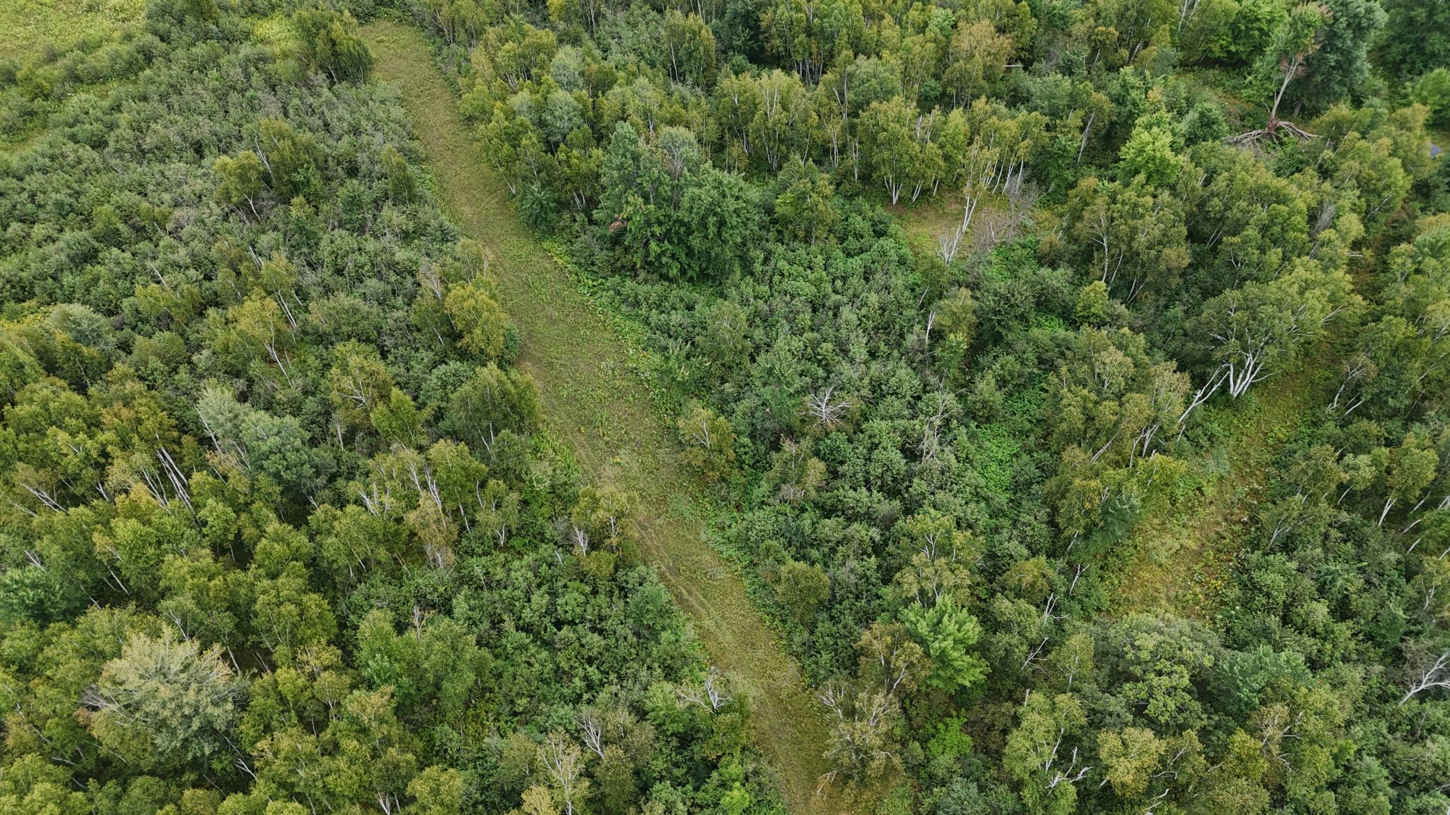DJI_20260820113911_0756_D.JPG