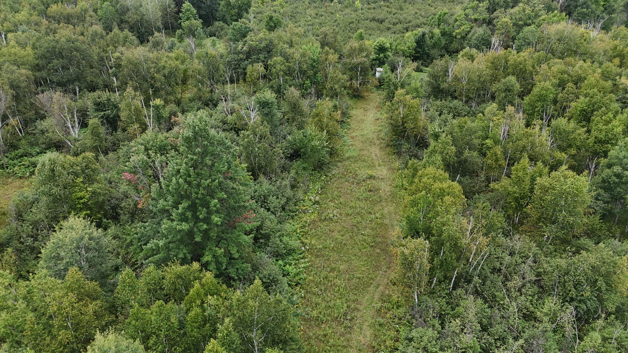 DJI_20260820114411_0769_D.JPG