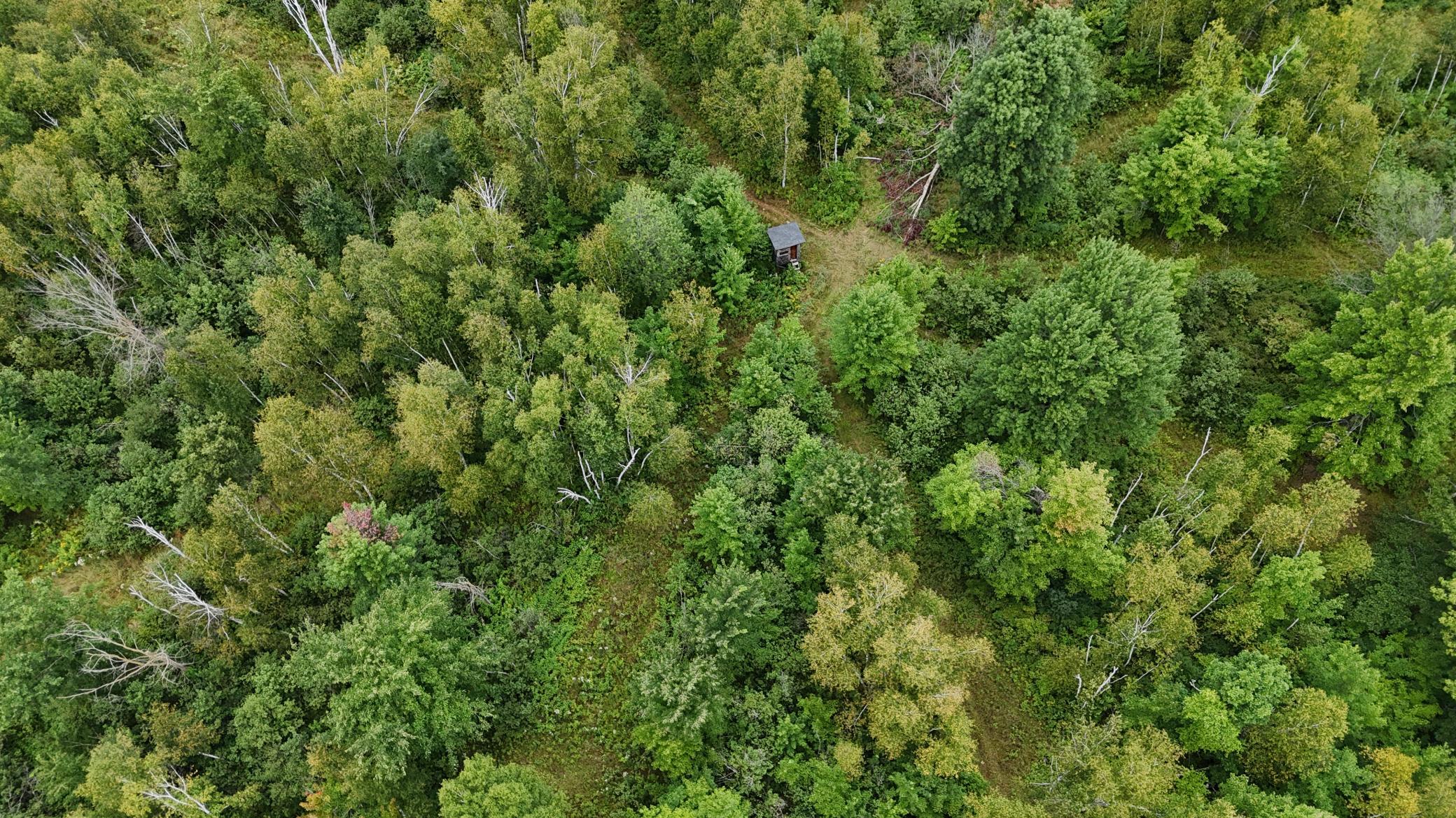 DJI_20260820114225_0763_D.JPG