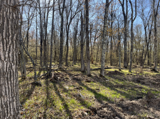35662 Bonnie Lakes Road, Crosslake, MN 56442