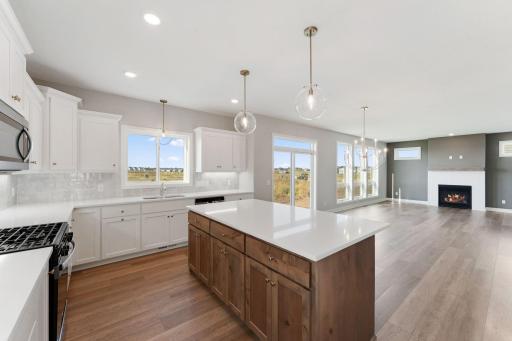 OneTenTen Homes Payton XL Spec - 15035 Ardmullivan Ln., Rosemount