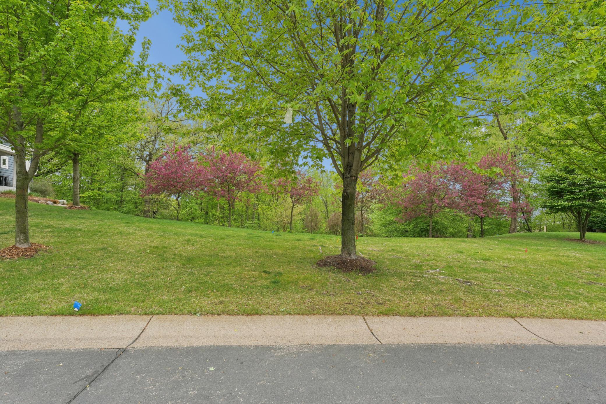 TBD Karoline Ct N - Mature Trees