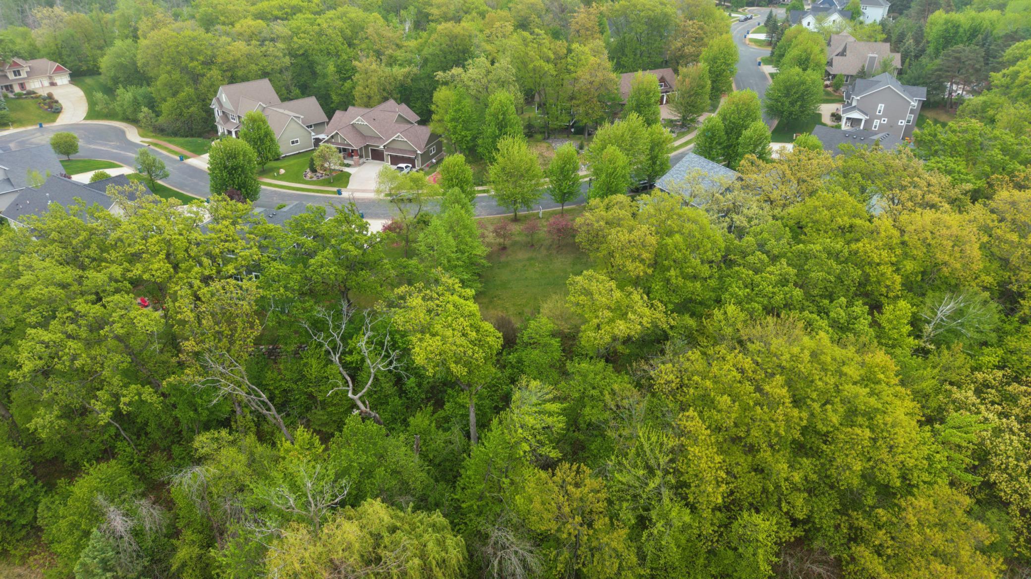TBD Karoline Ct N - Lot View