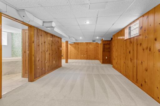 Lower level family room with new carpet.jpg