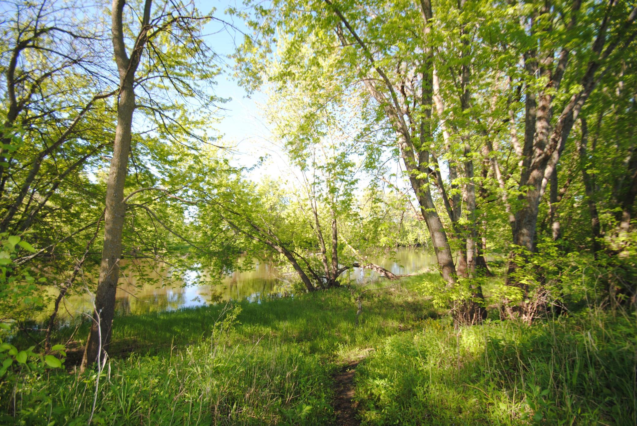 DSC_0019.jpg