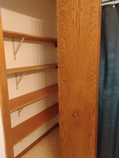 Large closet in bathroom for all your supplies