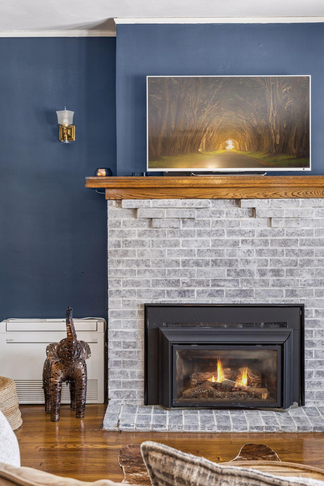 Main level / gas fireplace