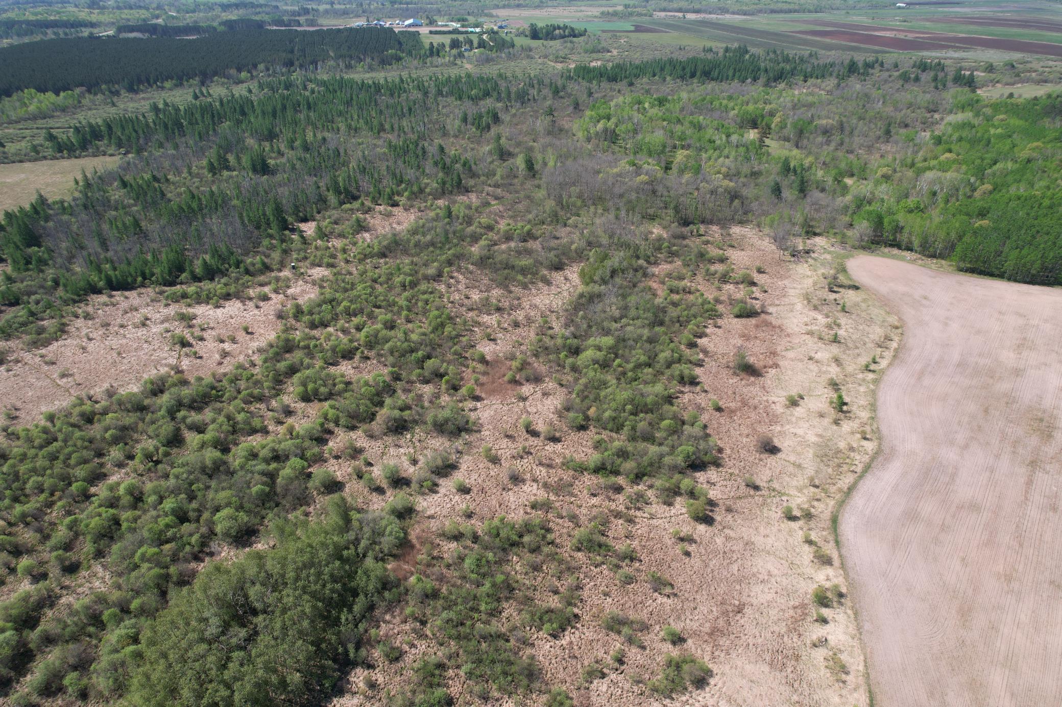 dji_fly_20260526_104402_306_1779810808087_photo.jpg
