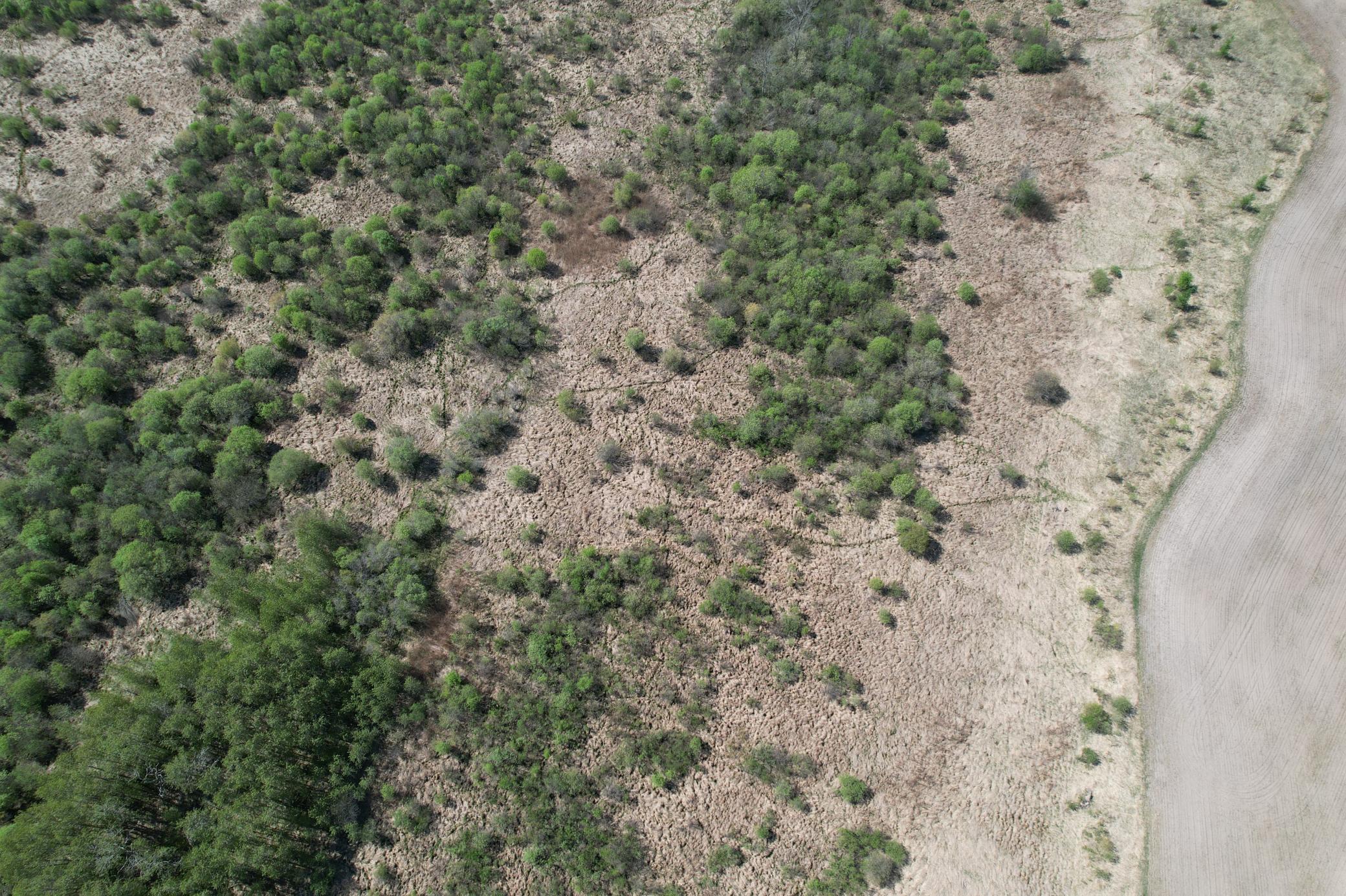 dji_fly_20260526_104408_307_1779810805734_photo.jpg