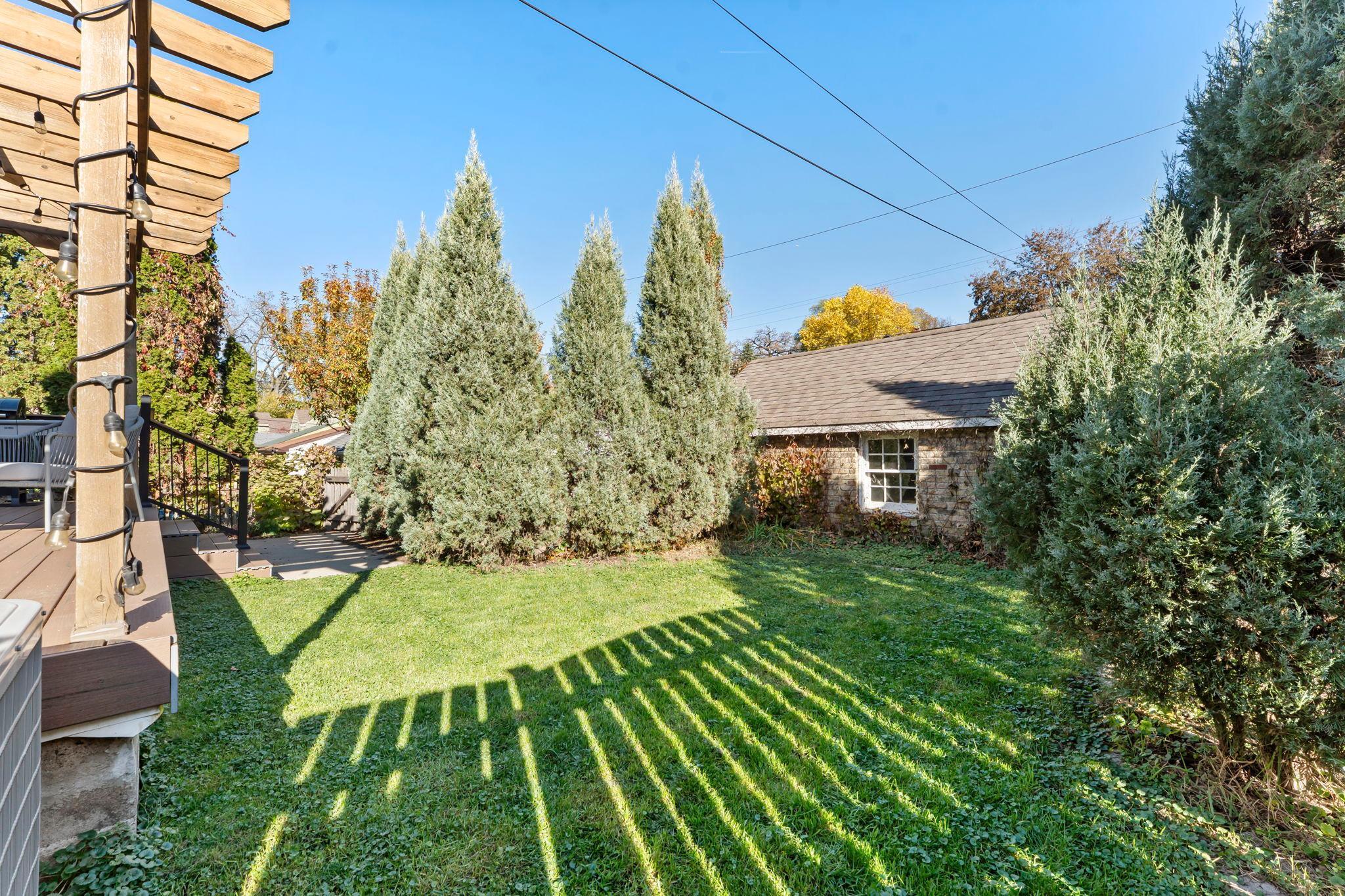 View of the backyard
