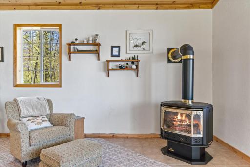41293 Woodpecker Point Road, Emily, MN 56447