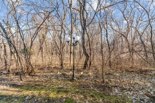 Privacy and charming light posts