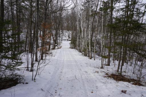 Trail to Lake.JPG