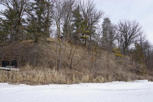 View from Lake.JPG