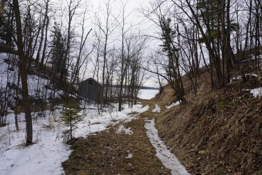 Trail to Lake2.JPG