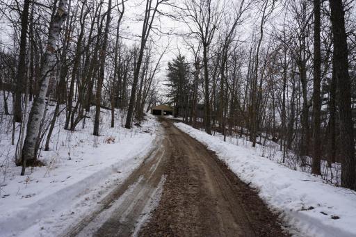 Driveway in.JPG