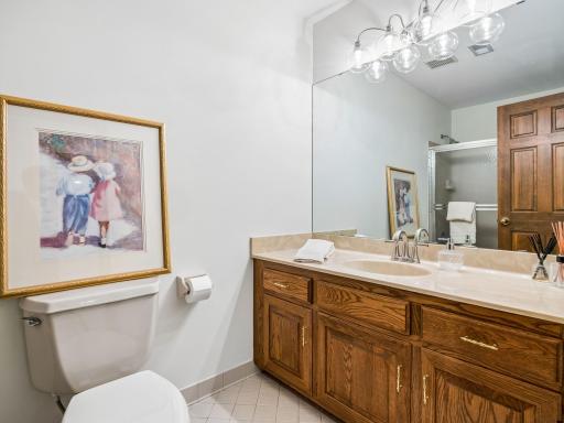 11202 Mount Curve Road, Eden Prairie, MN 55347