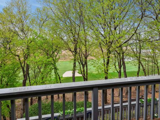 11202 Mount Curve Road, Eden Prairie, MN 55347