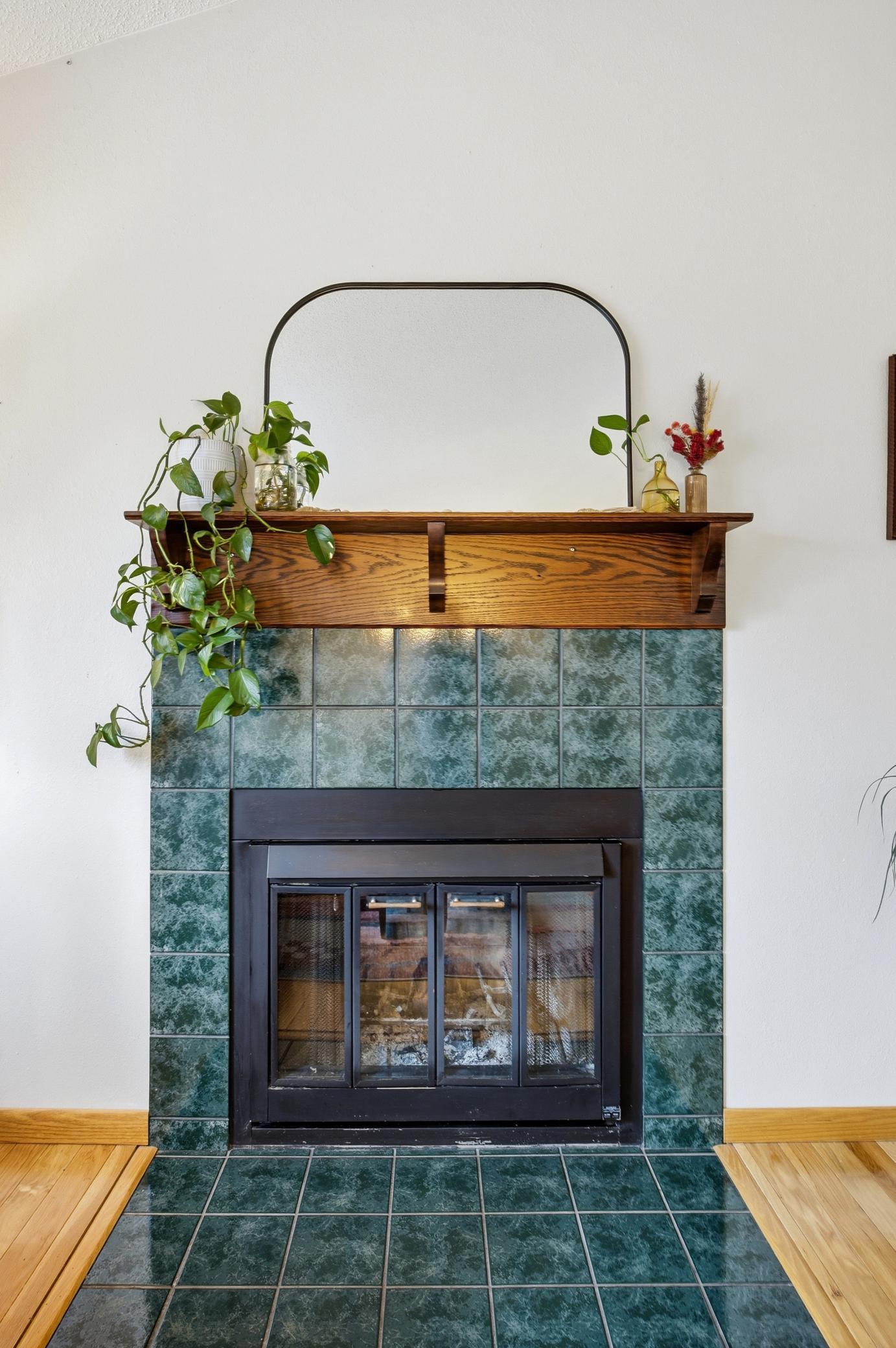 Wood Burning Fire Place