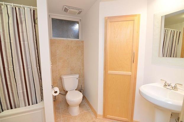 Lower Level Bathroom