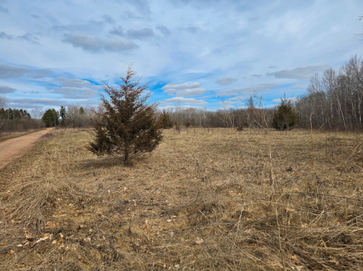 39529 Trulson Road, North Branch, MN 55056