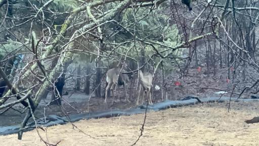 14759 Mcginty Road W, Wayzata, MN 55391