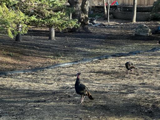 14759 Mcginty Road W, Wayzata, MN 55391