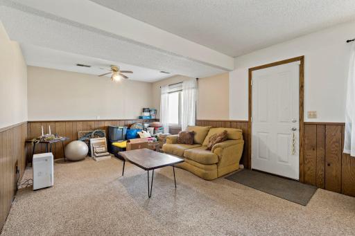 Lower-level family room with walkout to back patio.