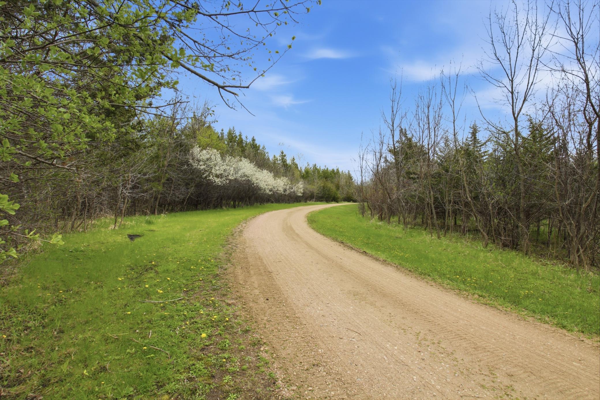 Beautiful Driveway